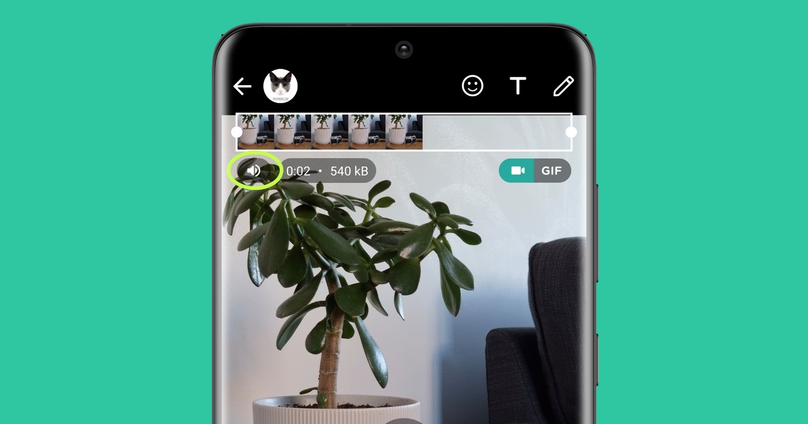 UNA MEJOR FORMA DE VER VIDEOS EN WHATSAPP PARA ANDROID