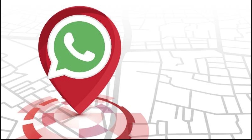 WHATSAPP, PONERTE EN CONTACTO CON LOCALES CERCANOS.