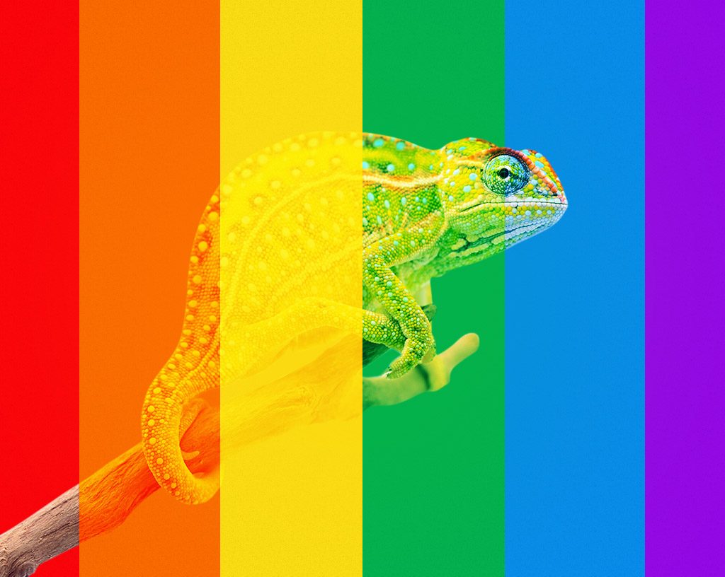 COMO VER CORRECTAMENTE LOS COLORES DE UNA WEB