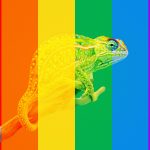 COMO VER CORRECTAMENTE LOS COLORES DE UNA WEB