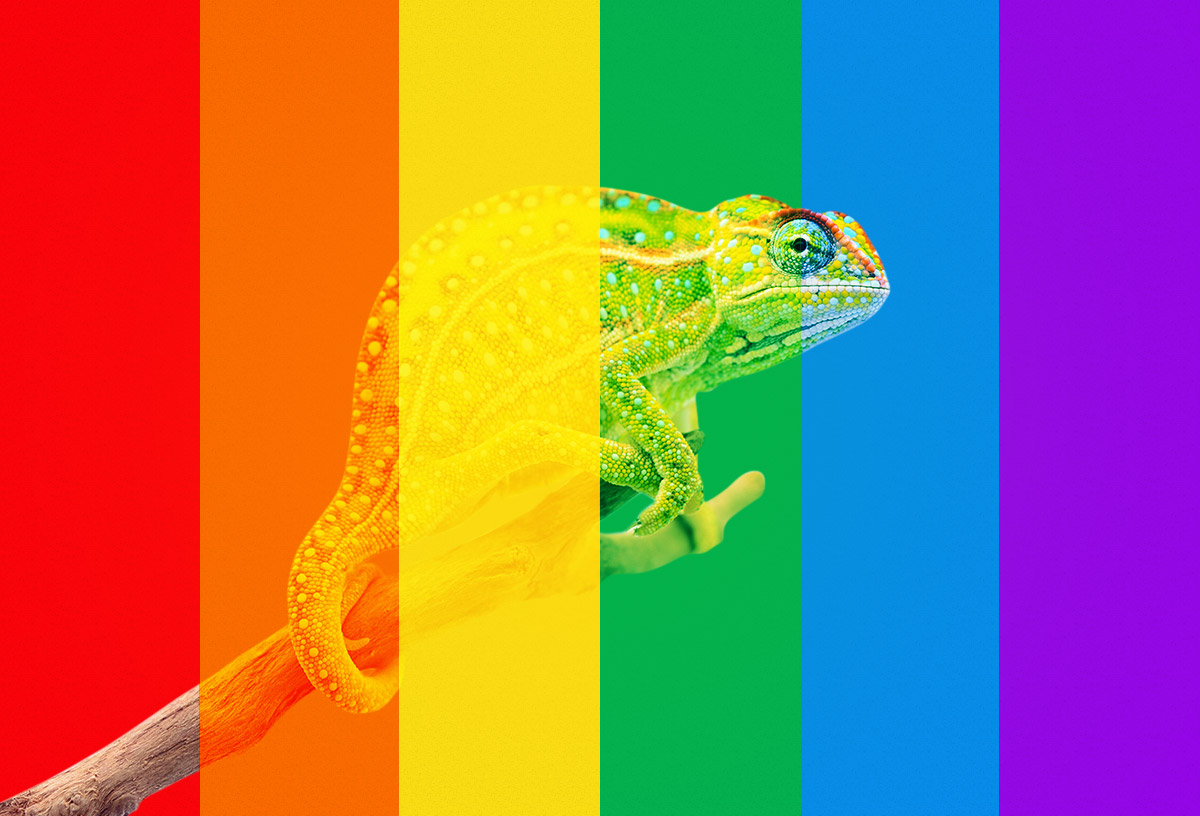 COMO VER CORRECTAMENTE LOS COLORES DE UNA WEB