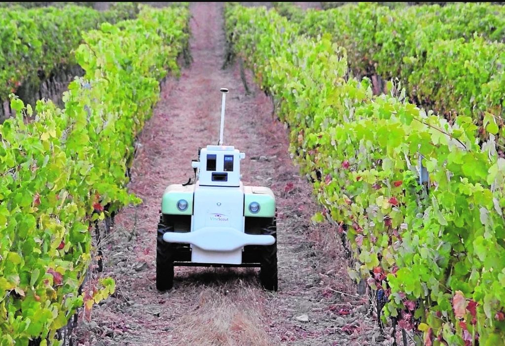 LA IA EN EL CAMPO